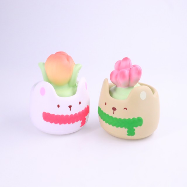 VE258 - Stress Plant Stress Reliever